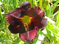 tang_1024x768.webp