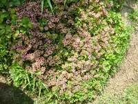 CIMG7279.webp