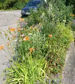 Blumenbeet.webp