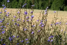 IMG_4112.webp
