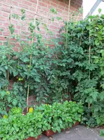 IMG_0026.webp
