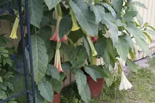 _DSC2637.webp