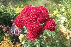 2013_0720Sommer0025.webp