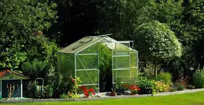 Tomatendschungel_1024.webp