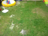 20130720_103653[2].webp