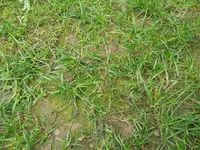 20130720_103728[1].webp
