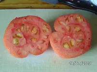 Russisches Ochsenherz (2).webp