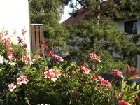 _ILD0083.webp