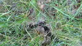s-WP_20130720_002.webp