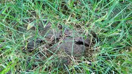 s-WP_20130720_003.webp