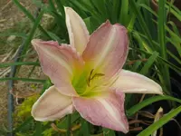 weiß_1024x768.webp