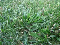 IMG_0882.webp