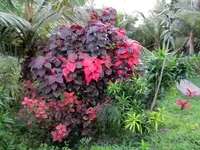 IMG_3268-v (1).webp