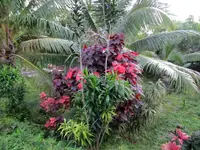 IMG_3269-v (1).webp