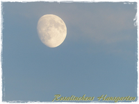 Abendmond (1).webp