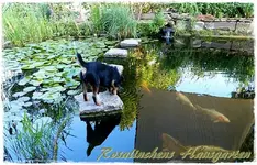 Branko (1).webp
