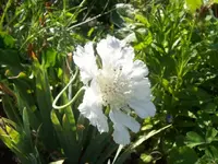 101_1437.webp