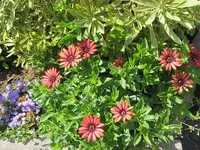 013.webp