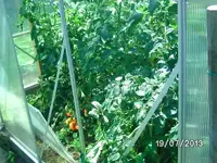k-neues GWH links (2).webp