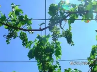 k-BILD3824.webp