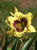 010.webp