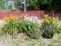016.webp
