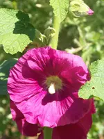 035.webp
