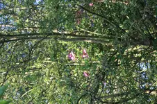 IMG_1876.webp