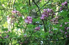 IMG_1878.webp