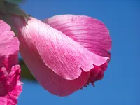 024.webp