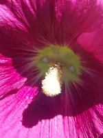 034.webp