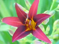 008.webp