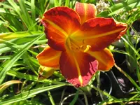 gelb-rot_1024x768.webp