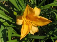 sleepy_1024x768.webp
