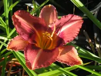 byzanthin empereor x el desperado_1024x768.webp