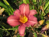 IMG_byzanthin empereor1_1024x768.webp