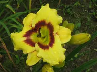 IMG_el desperado_1024x768.webp