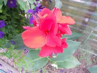 DSCN0858.webp