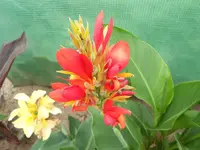 DSCN0866.webp