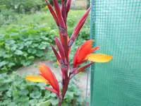 DSCN0868.webp
