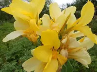 DSCN0872.webp