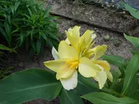DSCN0873.webp
