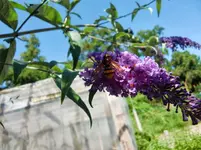 CIMG8124.webp