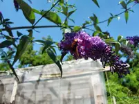 CIMG8123.webp