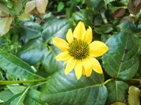 CIMG8156.webp