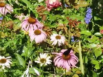 CIMG8122.webp