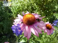CIMG8158.webp