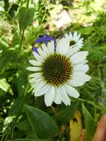 CIMG8186.webp