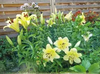 CIMG8147.webp