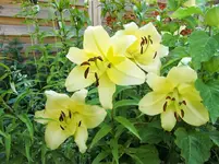 CIMG8149.webp